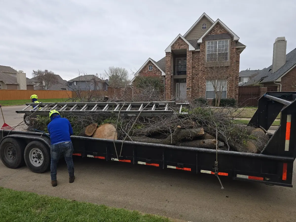 Expert Lot Clearing with proper safety equipment in Colfax